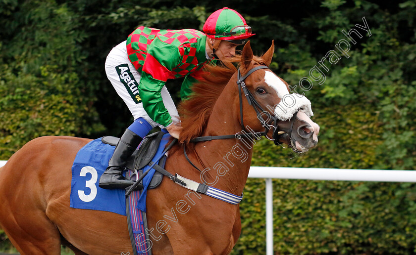 Emperor-Dream-0002 
 EMPEROR DREAM (George Rooke)
Kempton 7 Aug 2024 - Pic Steven Cargill / Racingfotos.com