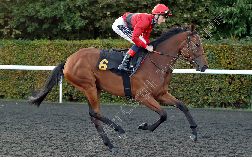 Idealogical-0001 
 IDEOLOGICAL (Darren Egan) before The 32Red Casino Fillies Novice Auction Stakes
Kempton 18 Sep 2018 - Pic Steven Cargill / Racingfotos.com