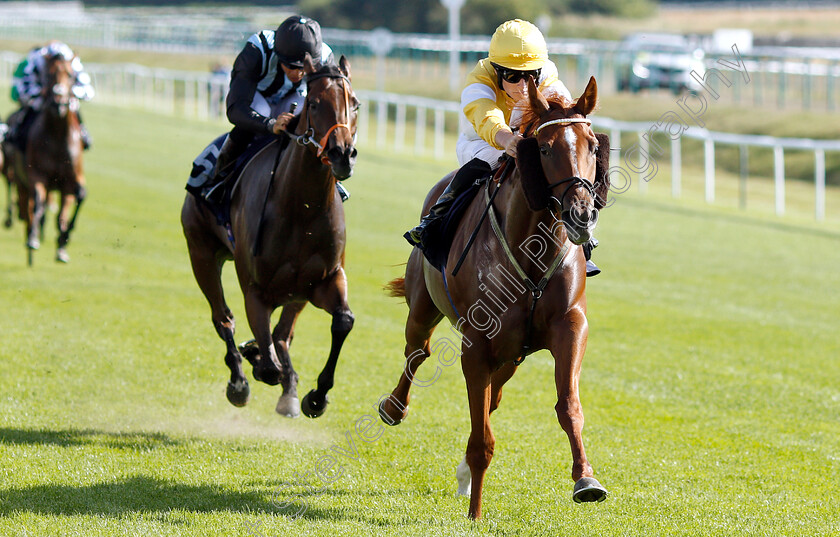 Space-Ace-0003 
 SPACE ACE (Adam McNamara) wins The Follow At The Races On Twitter Novice Auction Stakes
Lingfield 24 Jul 2019 - Pic Steven Cargill / Racingfotos.com