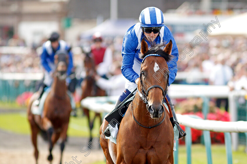 Laneqash-0001 
 LANEQASH (Jim Crowley)
Doncaster 11 Sep 2021 - Pic Steven Cargill / Racingfotos.com