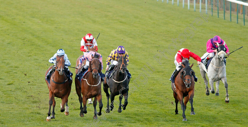 Han-Solo-Berger-0002 
 HAN SOLO BERGER (2nd left, Tom Queally) beats EXCELLENT GEORGE (left) and FOXY FOREVER (2nd right) in The Injured Jockeys Fund Handicap
Yarmouth 17 Sep 2019 - Pic Steven Cargill / Racingfotos.com