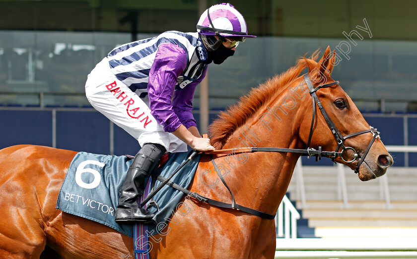 Mishal-Star-0002 
 MISHAL STAR (Tom Marquand)
Newbury 15 May 2021 - Pic Steven Cargill / Racingfotos.com