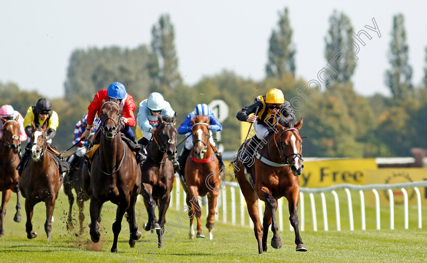 Whenthedealinsdone-0003 
 WHENTHEDEALINSDONE (right, Jason Watson) beats TWILIGHT CALLS (left) in The British Stallion Studs EBF Maiden Stakes
Newbury 18 Sep 2020 - Pic Steven Cargill / Racingfotos.com