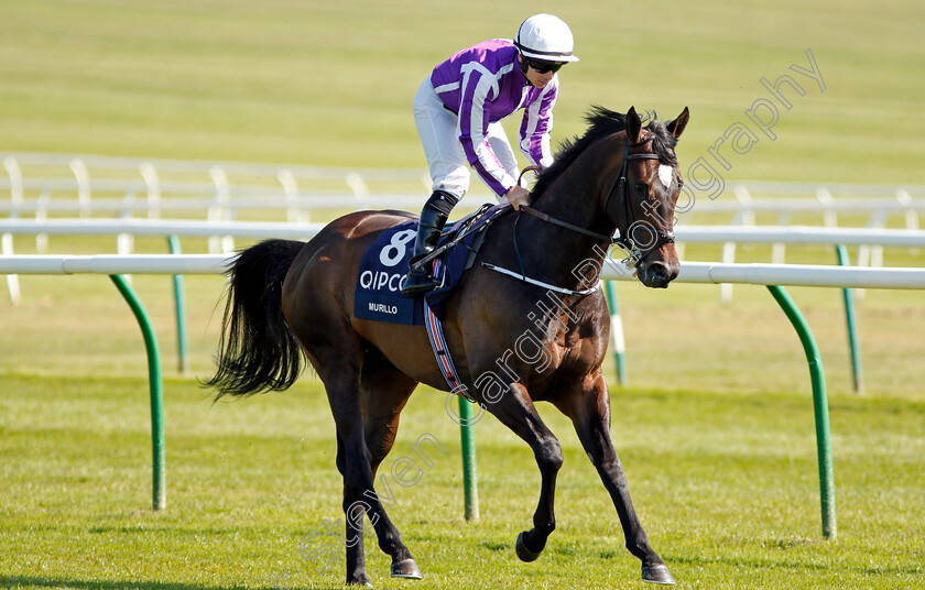 Murillo-0002 
 MURILLO (Wayne Lordan) Newmarket 5 May 2018 - Pic Steven Cargill / Racingfotos.com