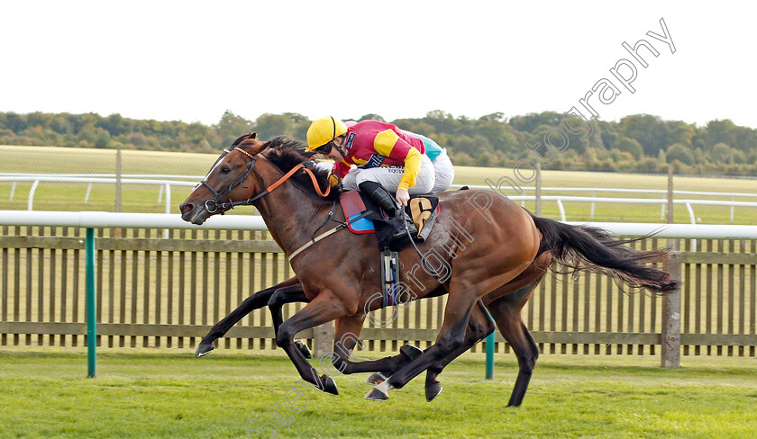 Dramatic-Device-0003 
 DRAMATIC DEVICE (Pat Cosgrave) wins The Weatherbys TBA Handicap
Newmarket 26 Sep 2019 - Pic Steven Cargill / Racingfotos.com