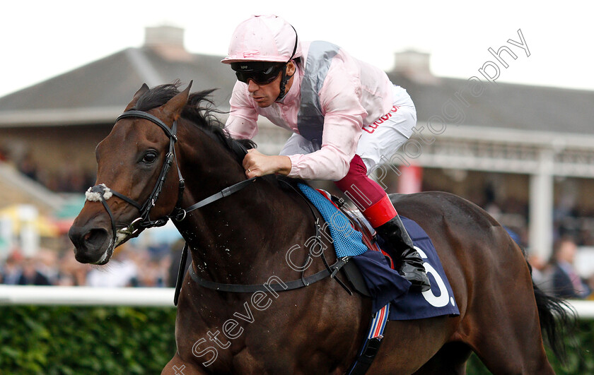 Too-Darn-Hot-0007 
 TOO DARN HOT (Frankie Dettori) wins The Howcroft Industrial Supplies Champagne Stakes
Doncaster 15 Sep 2018 - Pic Steven Cargill / Racingfotos.com