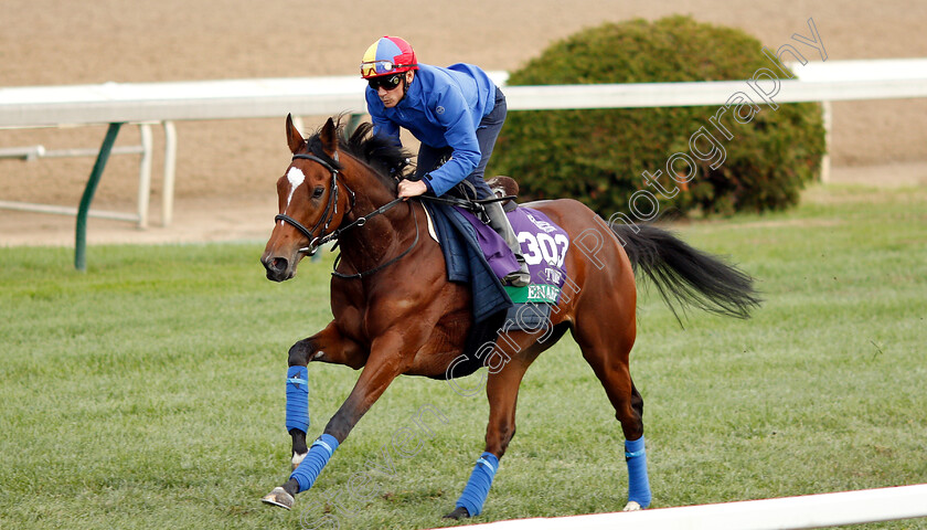 Enable-0001 
 ENABLE (Frankie Dettori) exercising ahead of The Breeders' Cup Turf
Churchill Downs 31 Oct 2018 - Pic Steven Cargill / Racingfotos.com