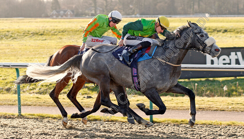 Tom s-Rock-0003 
 TOM'S ROCK (Daniel Muscutt) wins The Betway Casino Handicap Lingfield 16 Feb 2018 - Pic Steven Cargill / Racingfotos.com