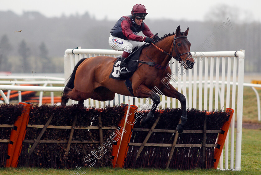 Hardness-0002 
 HARDNESS (Richard Johnson) Newbury 10 Feb 2018 - Pic Steven Cargill / Racingfotos.com