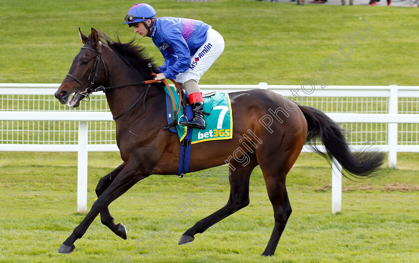 Migration-0001 
 MIGRATION (Andrera Atzeni)
Sandown 26 Apr 2019 - Pic Steven Cargill / Racingfotos.com