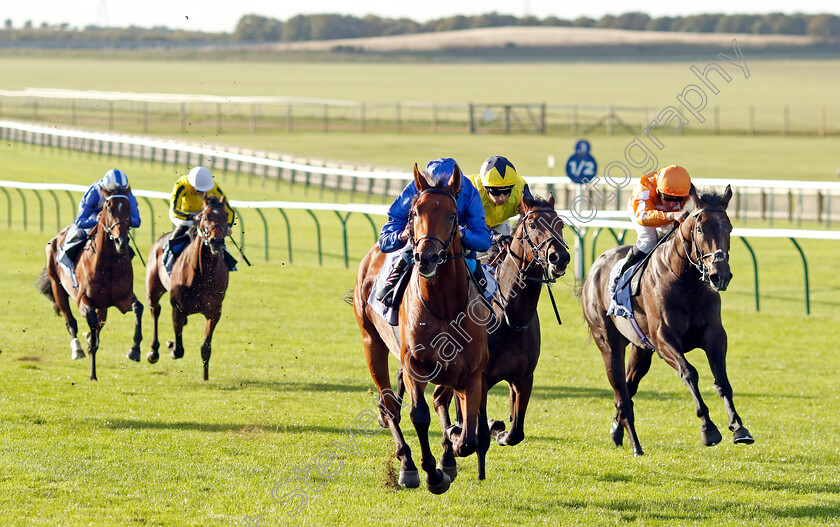 Broadway-Act-0005 
 BROADWAY ACT (William Buick) beats EZRA CEE (right) in The Al Basti Equiworld Dubai British EBF Confined Maiden Stakes Div2
Newmarket 29 Sep 2023 - Pic Steven Cargill / Racingfotos.com