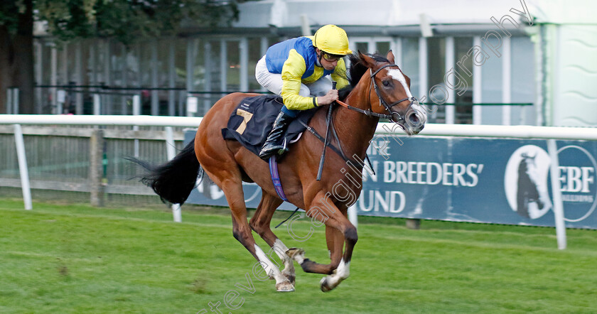 Canoodled-0003 
 CANOODLED (William Buick) wins The Henry Cecil Open Weekend Handicap
Newmarket 4 Aug 2023 - Pic Steven Cargill / Racingfotos.com