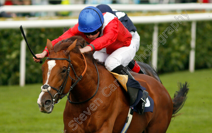 Davydenko-0003 
 DAVYDENKO (Ryan Moore) wins The Magners Rose Handicap
Doncaster 12 Sep 2019 - Pic Steven Cargill / Racingfotos.com