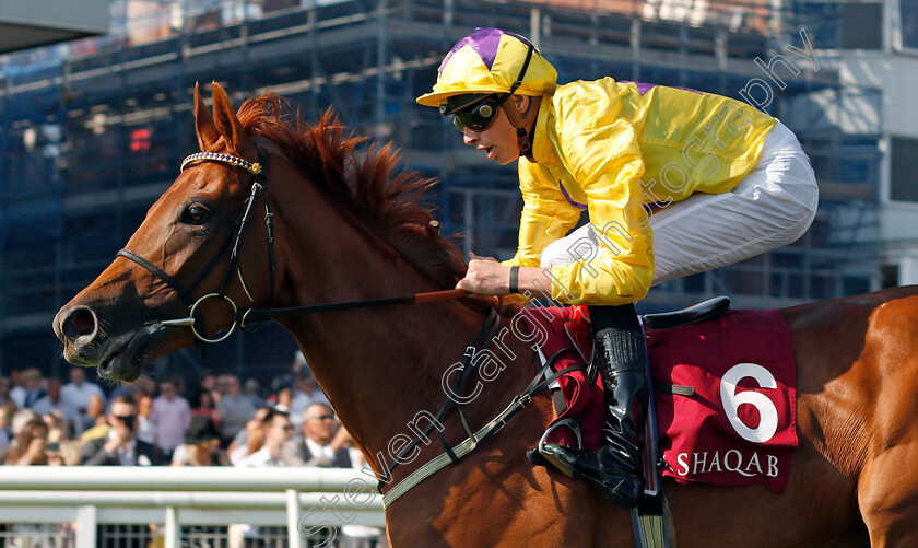 Sea-Of-Class-0006 
 SEA OF CLASS (James Doyle) wins The Haras De Bouquetot Fillies Trial Stakes Newbury 19 May 2018 - Pic Steven Cargill / Racingfotos.com