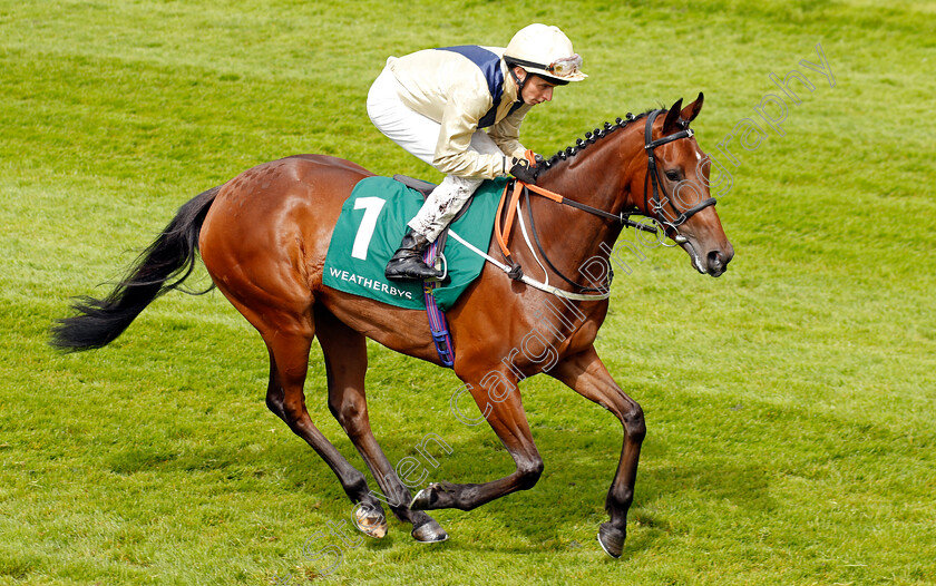 Sirona-0001 
 SIRONA (William Buick)
Chester 10 May 2023 - pic Steven Cargill / Racingfotos.com