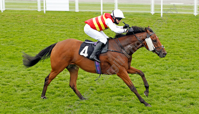 The-Game-Is-On-0003 
 THE GAME IS ON (Guy Mitchell) wins The Gay Kindersley Amateur Jockeys' Handicap Div1
Goodwood 30 Aug 2020 - Pic Steven Cargill / Racingfotos.com