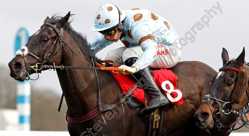 Saint-Anapolino-0003 
 SAINT ANAPOLINO (Micheal Nolan) wins he Ladbrokes Handicap Hurdle
Kempton 22 Feb 2025 - Pi Steven Cargill / Racingfotos.com