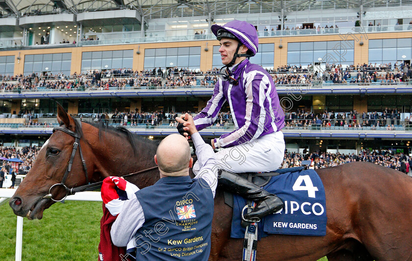 Kew-Gardens-0008 
 KEW GARDENS (Donnacha O'Brien) after The Qipco British Champions Long Distance Cup
Ascot 19 Oct 2019 - Pic Steven Cargill / Racingfotos.com