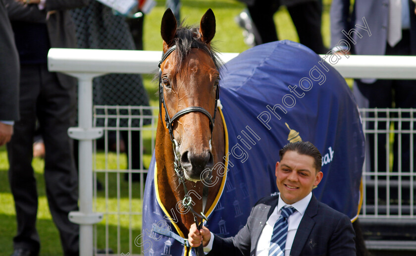 Emily-Upjohn-0015 
 EMILY UPJOHN after The Tattersalls Musidora Stakes
York 11 May 2022 - Pic Steven Cargill / Racingfotos.com