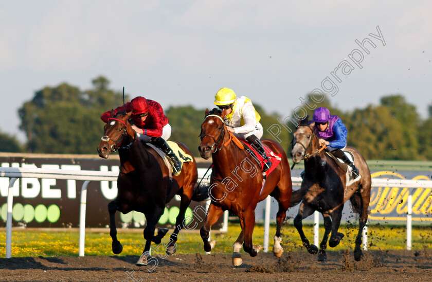 Noisy-Night-0002 
 NOISY NIGHT (centre, Richard Kingscote) beats BLUEBERRY HILL (left) in The Unibet British Stallion Studs EBF Novice Stakes
Kempton 4 Aug 2021 - Pic Steven Cargill / Racingfotos.com