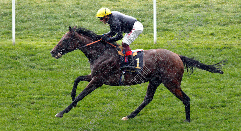 Crystal-Ocean-0009 
 CRYSTAL OCEAN (Frankie Dettori) wins The Prince Of Wales's Stakes
Royal Ascot 19 Jun 2019 - Pic Steven Cargill / Racingfotos.com