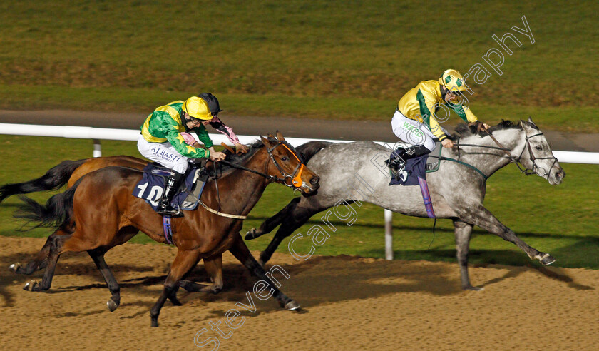 Lord-Riddiford-0004 
 LORD RIDDIFORD (right, Jason Hart) beats POP DANCER (left) in The Betway Handicap
Wolverhampton 24 Nov 2020 - Pic Steven Cargill / Racingfotos.com