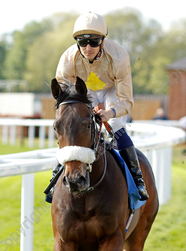 Catch-The-Paddy 
 CATCH THE PADDY (Kevin Stott)
York 12 May 2022 - Pic Steven Cargill / Racingfotos.com