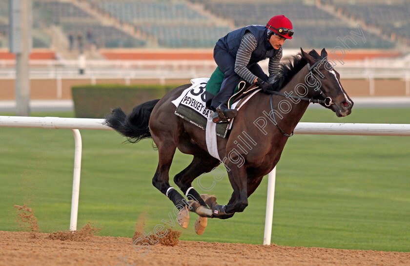 Pevensey-Bay-0001 
 PEVENSEY BAY exercising for trainer Hiroo Shimizu
Meydan, Dubai, 3 Feb 2022 - Pic Steven Cargill / Racingfotos.com