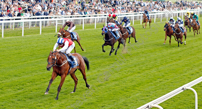 Explicit-0001 
 EXPLICIT (Connor Beasley) wins The SKF Rous Selling Stakes
York 10 Jun 2022 - Pic Steven Cargill / Racingfotos.com