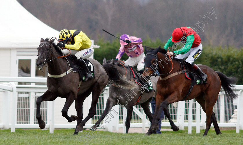 Elixir-De-Nutz-0007 
 ELIXIR DE NUTZ (Tom O'Brien) beats GRAND SANCY (right) in The Unibet Tolworth Hurdle
Sandown 5 Jan 2019 - Pic Steven Cargill / Racingfotos.com