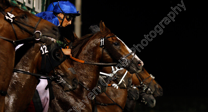 Hawkbill-0008 
 HAWKBILL (William Buick) breaks from the stalls before winning The Dubai City Of Gold Meydan Dubai 10 Mar 2018 - Pic Steven Cargill / Racingfotos.com