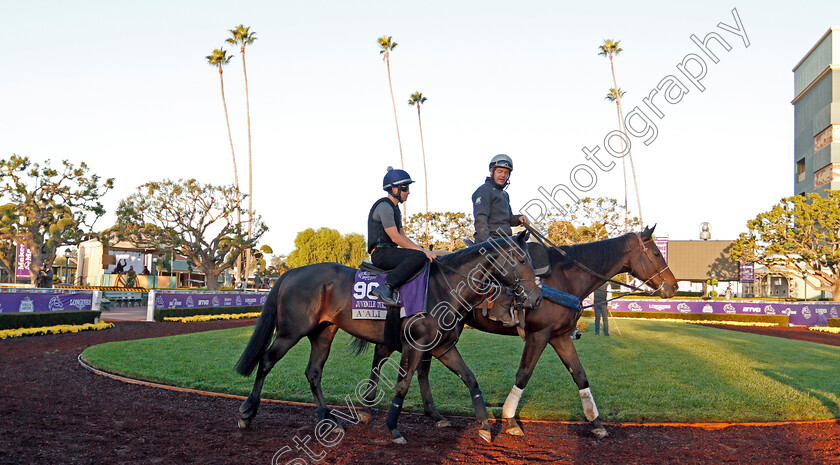 A Ali-0001 
 A'ALI training for the Breeders' Cup Juvenile Turf Sprint
Santa Anita USA 30 Oct 2019 - Pic Steven Cargill / Racingfotos.com