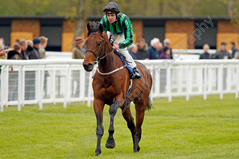 Billy-Ray-0002 
 BILLY RAY (Charles Bishop) before winning The Betfred Treble Odds On Lucky 15's British EBF Maiden Stakes Salisbury 29 Apr 2018 - Pic Steven Cargill / Racingfotos.com