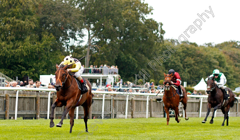 Razzle-Dazzle-0004 
 RAZZLE DAZZLE (Andrea Atzeni) wins The Mansionbet Watch And Bet British EBF Novice Stakes
Newmarket 27 Aug 2021 - Pic Steven Cargill / Racingfotos.com