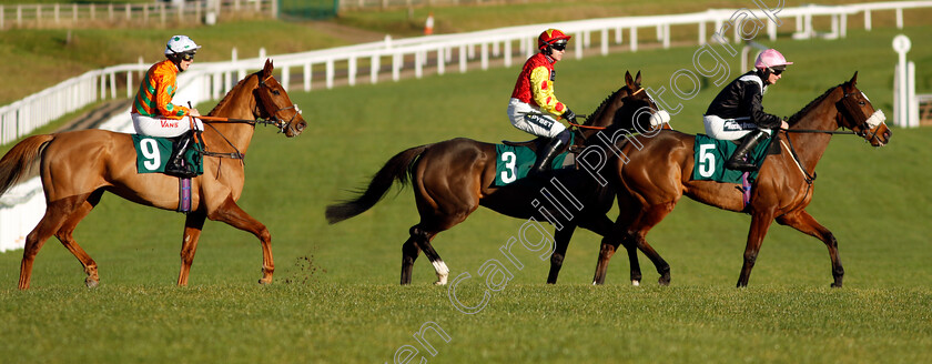 Transmission,-Destroytheevidence-and-Livin-On-Luco-0001 
 TRANSMISSION (right, James Bowen) with DESTROYTHEEVIDENCE (centre, Jonathan Burke) and LIVIN ON LUCO (left, Micheal Nolan)
Cheltenham 14 Dec 2024 - Pic Steven Cargill / Racingfotos.com