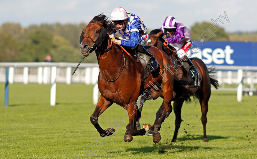 Leader-Writer-0002 
 LEADER WRITER (Fran Berry) wins The Weatherbys Handicap Ascot 8 Sep 2017 - Pic Steven Cargill / Racingfotos.com