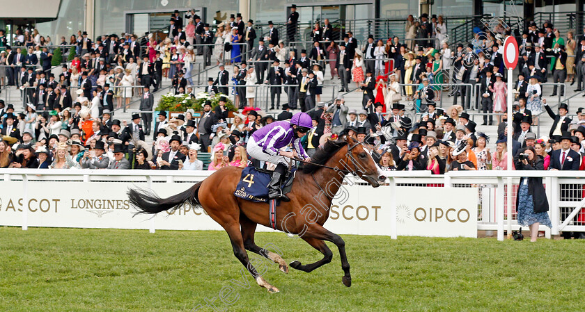 Point-Lonsdale-0004 
 POINT LONSDALE (Ryan Moore) wins The Chesham Stakes
Royal Ascot 19 Jun 2021 - Pic Steven Cargill / Racingfotos.com