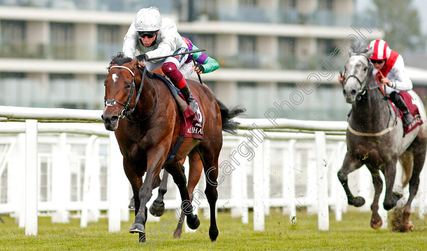 Palace-Pier-0003 
 PALACE PIER (Frankie Dettori) wins The Al Shaqab Lockinge Stakes
Newbury 15 May 2021 - Pic Steven Cargill / Racingfotos.com