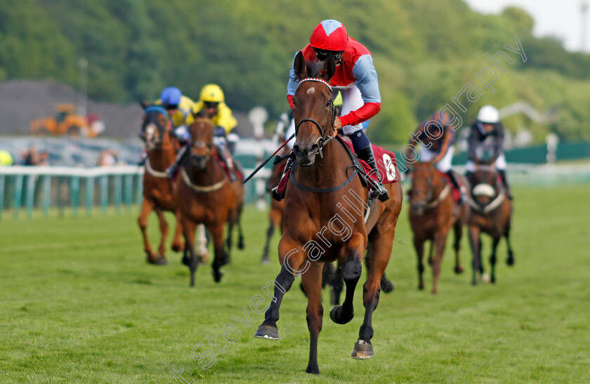 Divine-Comedy-0003 
 DIVINE COMEDY (Kaiya Fraser) wins The Betfred Nifty 50 Hell Nook Handicap
Haydock 25 May 2024 - Pic Steven Cargill / Racingfotos.com