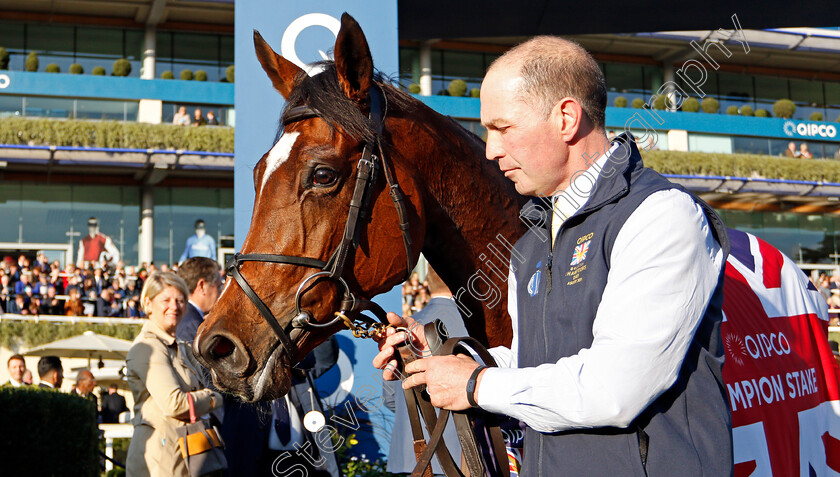 Magical-0015 
 MAGICAL after The Qipco Champion Stakes
Ascot 19 Oct 2019 - Pic Steven Cargill / Racingfotos.com