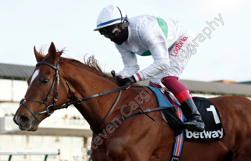 Wissahickon-0007 
 WISSAHICKON (Frankie Dettori) wins The Betway Winter Derby Trial Stakes
Lingfield 2 Feb 2019 - Pic Steven Cargill / Racingfotos.com