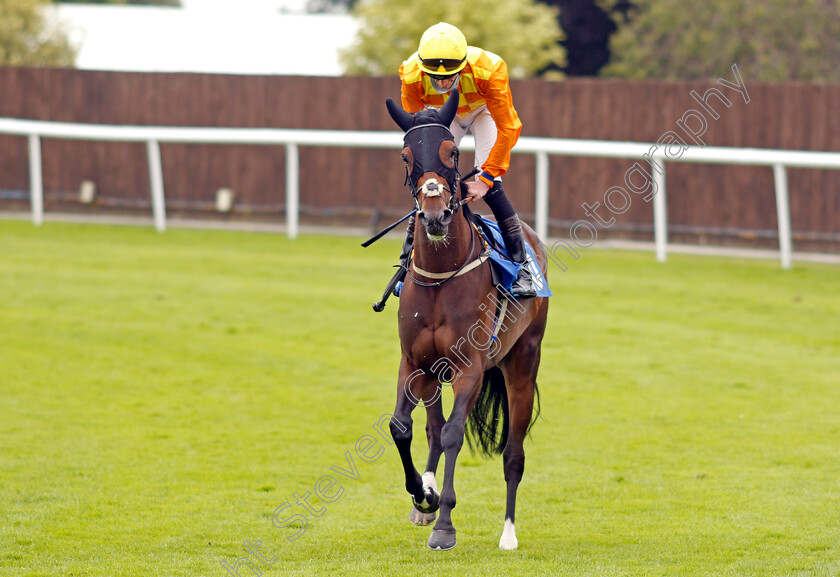 Jasmine-Joy-0001 
 JASMINE JOY (Daniel Muscutt)
Leicester 15 Jul 2021 - Pic Steven Cargill / Racingfotos.com