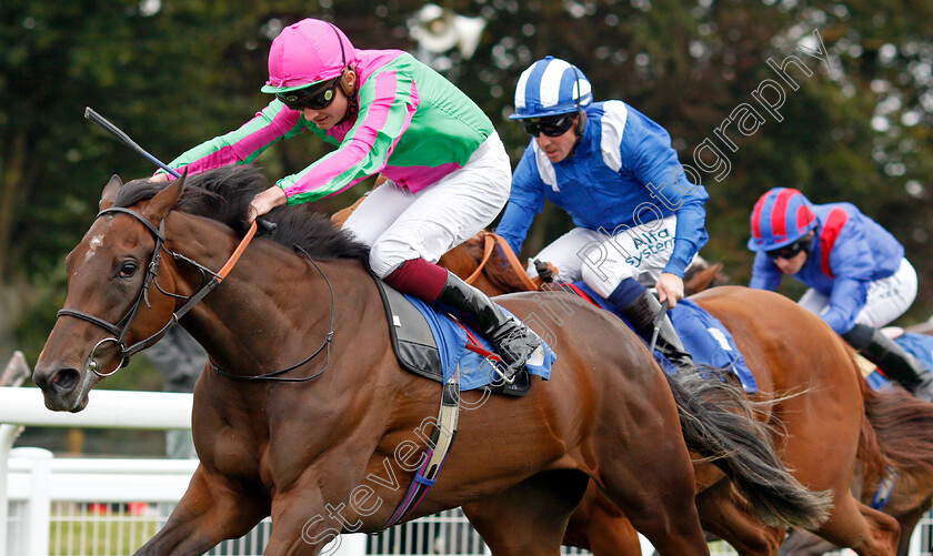 Good-American-0006 
 GOOD AMERICAN (Rob Hornby) wins The Bob McCreery Memorial British EBF Quidhampton Maiden Fillies Stakes
Salisbury 2 Sep 2021 - Pic Steven Cargill / Racingfotos.com