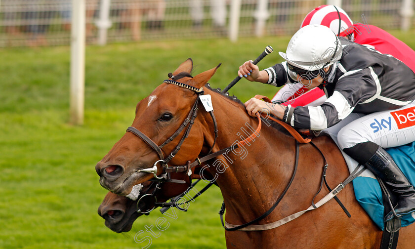 Reach-0001 
 REACH (Joanna Mason) wins The Assured Data Protection EBF Fillies Handicap
York 25 Aug 2023 - Pic Steven Cargill / Racingfotos.com