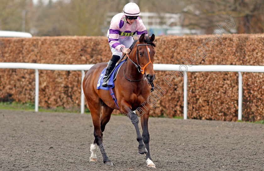 Dixieland-0001 
 DIXIELAND (Tom Marquand) Kempton 7 Apr 2018 - Pic Steven Cargill / Racingfotos.com