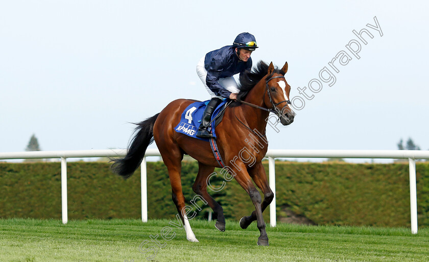 Capulet-0001 
 CAPULET (Seamie Heffernan)
Leopardstown 9 Sep 2023 - Pic Steven Cargill / Racingfotos.com