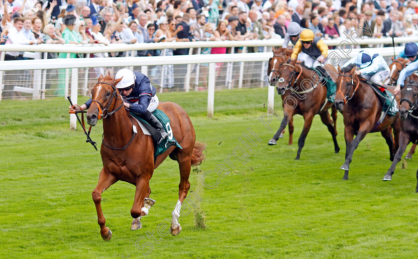 Dragon-Leader-0005 
 DRAGON LEADER (Ryan Moore) wins The Goffs UK Harry Beeby Premier Yearling Stakes
York 24 Aug 2023 - Pic Steven Cargill / Racingfotos.com