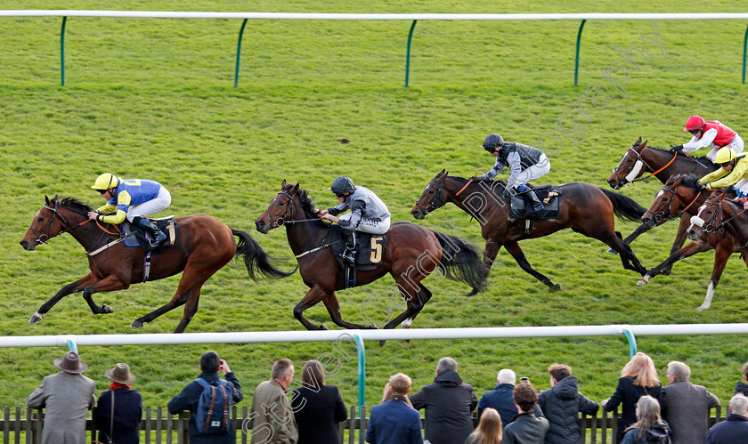 Farhh-To-Shy-0003 
 FARHH TO SHY (Tom Queally) beats AREEHAA (centre) in The 888sport Bet Builder Handicap
Newmarket 30 Oct 2021 - Pic Steven Cargill / Racingfotos.com