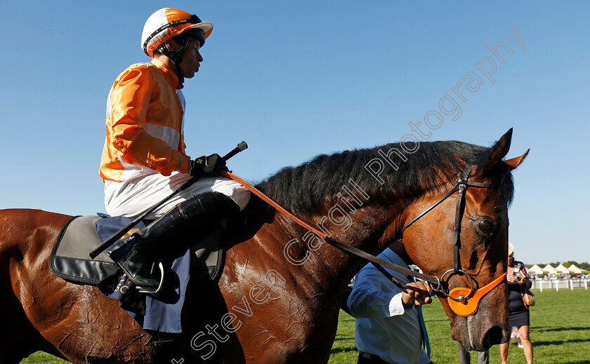 Jayarebe-0005 
 JAYAREBE (Sean Levey) winner of The Hampton Court Stakes
Royal Ascot 20 Jun 2024 - Pic Steven Cargill / Racingfotos.com