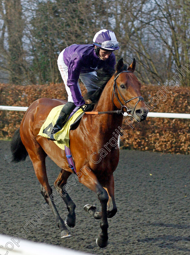 Clase-Azul-Ultra-0001 
 CLASE AZUL ULTRA (Rossa Ryan) winner of The Unibet Horserace Betting Operator of The Year Maiden Stakes
Kempton 16 Feb 2022 - Pic Steven Cargill / Racingfotos.com